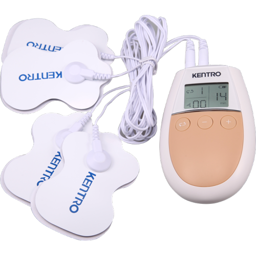 FDA physiotherapy muscle stimulator acupuncture points EMS/TENS Units